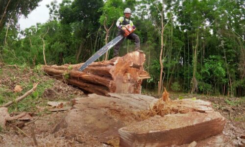 天野邸　玉名市天水町_210612_0_0